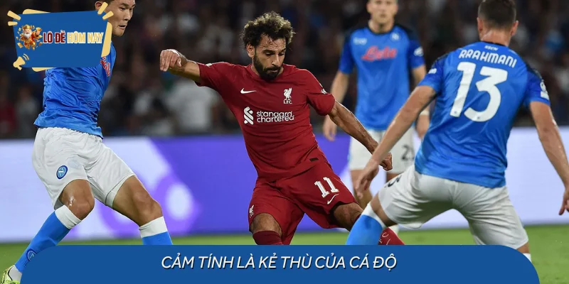 Cảm tính là kẻ thù của cá độ