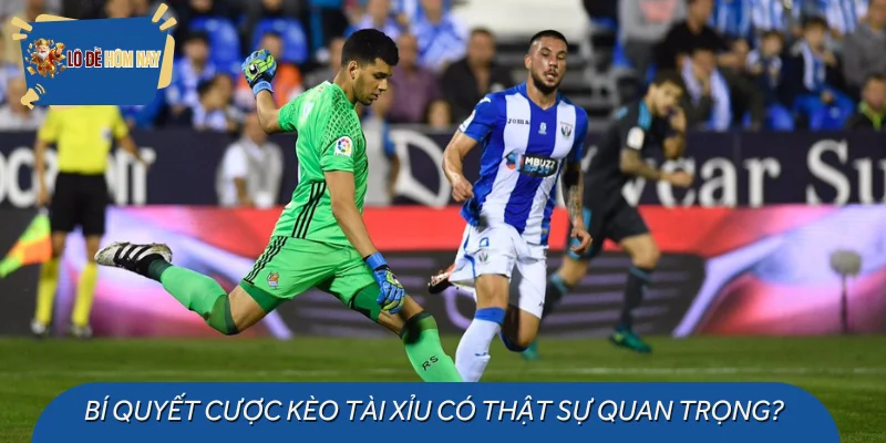 Bí quyết cược kèo tài xỉu có thật sự quan trọng?