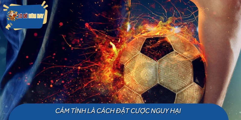 Cảm tính là cách đặt cược nguy hại