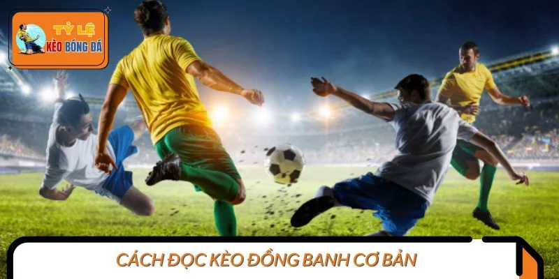 Cách đọc kèo đồng banh cơ bản