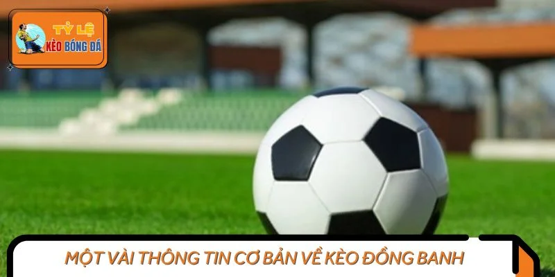 Một vài thông tin cơ bản về kèo đồng banh