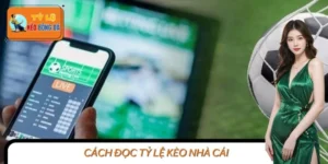 Cách Đọc Tỷ Lệ Kèo Nhà Cái Chuẩn Xác Để Cá Cược Dễ Thắng