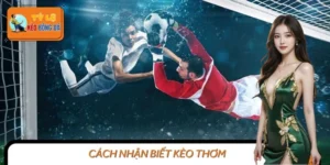 Hướng Dẫn Bet Thủ Cách Nhận Biết Kèo Thơm Khi Cá Độ Bóng Đá