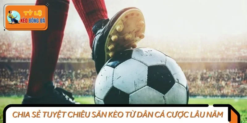 Chia sẻ tuyệt chiêu săn kèo từ dân cá cược lâu năm