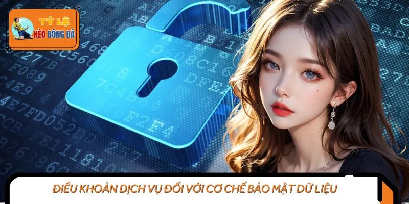 Điều khoản dịch vụ quy định chính sách bảo mật nghiêm ngặt