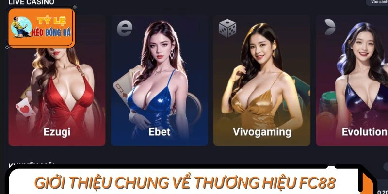 Giới thiệu chung về nền tảng Fc88 uy tín
