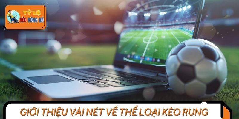 Khái quát những thông tin cơ bản về cách đánh kèo rung hiệu quả