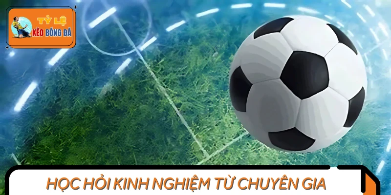 Áp dụng các mẹo hay của các chuyên gia vào đặt cược
