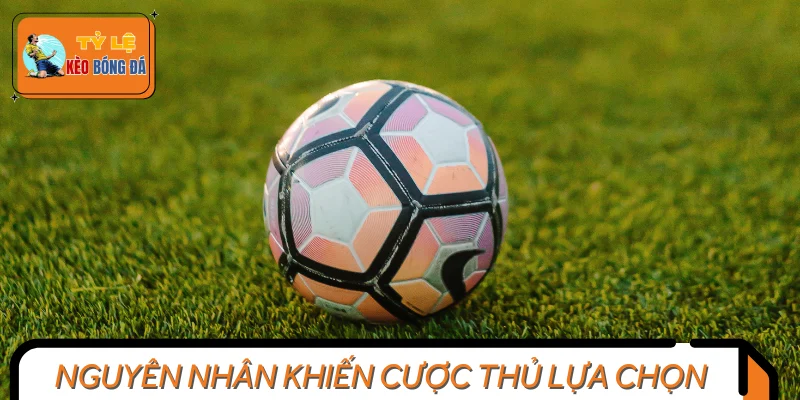 Lý do nhiều người chơi thường áp dụng kèo Winning Margin