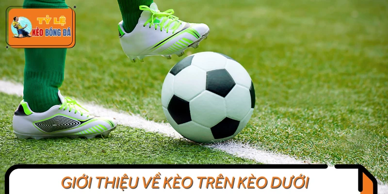 Khái quát nhanh thông tin về kèo trên kèo dưới