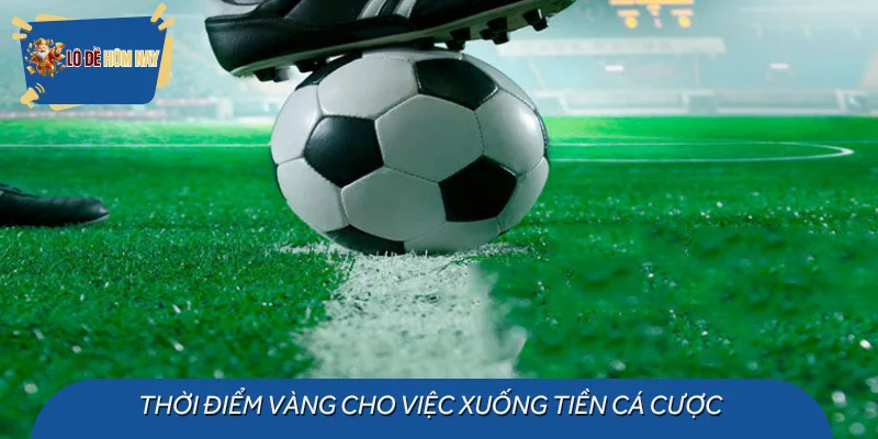 Thời điểm vàng cho việc xuống tiền cá cược