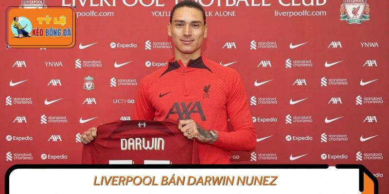Liverpool Bán Darwin Nunez Chuẩn Bị Đón Tân Binh Mới