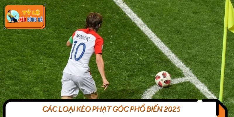 Các loại kèo phạt góc phổ biến 2025