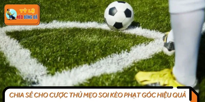 Chia sẻ cho cược thủ các mẹo soi kèo phạt góc hiệu quả