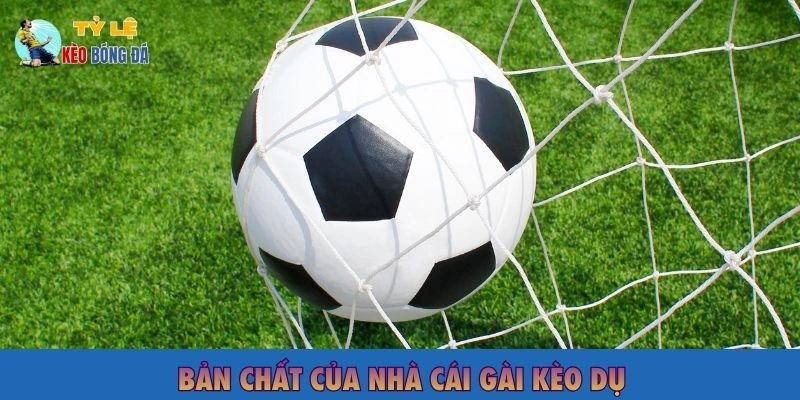 Bản chất của nhà cái gài kèo dụ